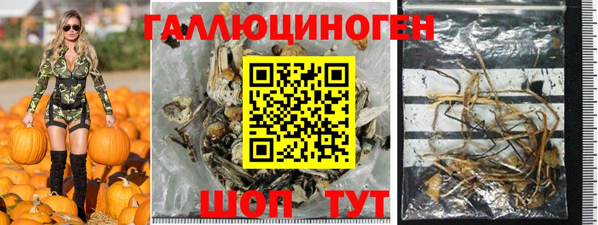Камышин  Галлюциногенные грибы ЛСД  Псилоцибиновые грибы мицелий  Вход с VPN 