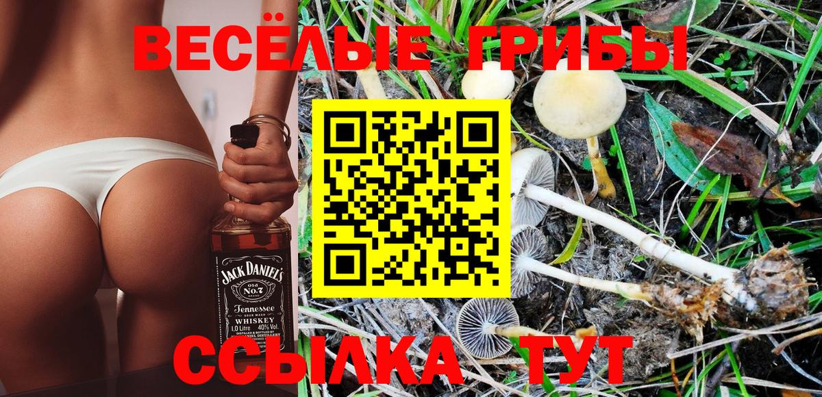 Галлюциногенные грибы мицелий Камышин