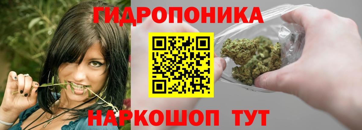 Конопля Ganja  МАРИХУАНА план  Вход с VPN  Камышин  Конопля конопля 